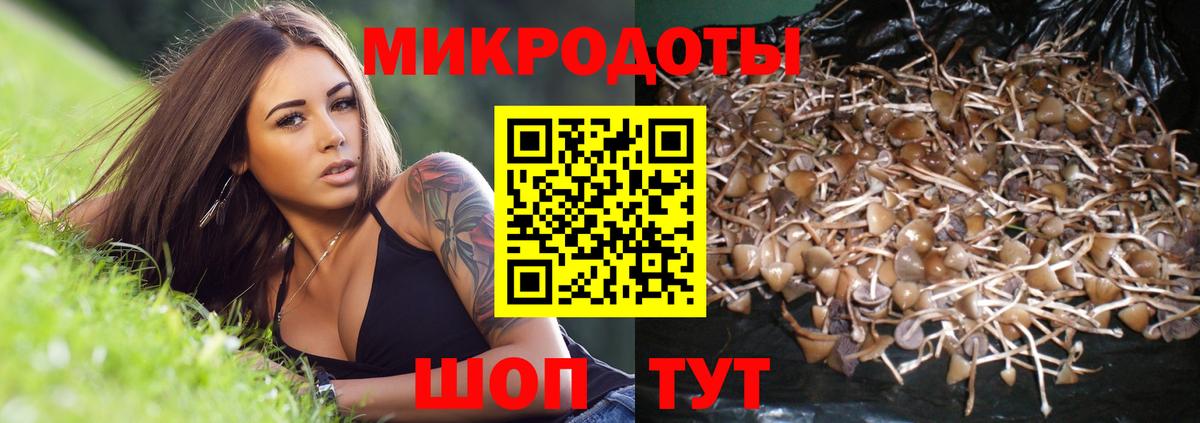 Галлюциногенные грибы мицелий  Псилоцибиновые грибы Cubensis  Вход с VPN  Лангепас 